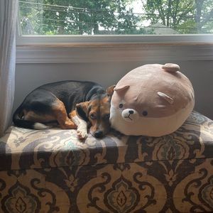 Meet your Posher, Julie